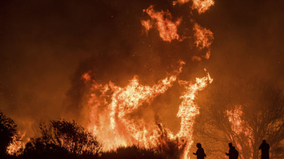 美 LA 집어삼킨 산불…여의도 110배 넘게 태우고 20만명 영향