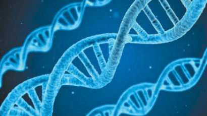 “남성 동성애 관련 유전자 발견”