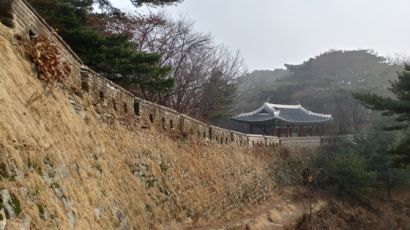 [굿모닝 내셔널] 남한산성 함락된 적 없고, 근왕군은 명령받고 신속히 출동