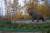  러시아 극동 사하공하국 야쿠츠크에 있는 영구동토박물관 앞뜰에 설치돼 있는 매머드 모형. 강찬수 기자