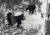서울을 비롯한 전국 곳곳에 눈이 내린 10일 서울 시내 한 건물에서 관리자들이 진입로에 내린 눈을 치우고 있다. [연합뉴스]