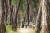 제16회 국립공원 사진공모전 일반부문 장려상 &#34;숲속 이야기&#34; (경주) 손문수 작 [자료 국립공원관리공단]