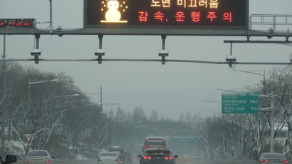 폭설에 의정부 경전철 중단···성남선 24중 연쇄 추돌