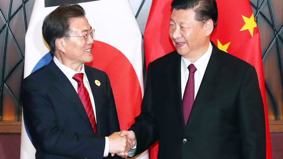 文대통령 오는 14일 시진핑과 정상회담…북핵 협력 방안 논의