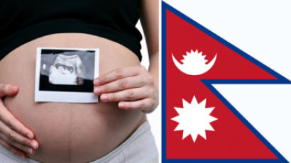 외교부 “네팔서 한국민의 대리모 출산사례 있다”