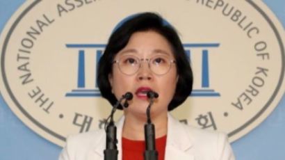 민주당 “韓中, 4대원칙 합의 환영…전분야 교류 활성화 기대”