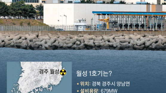 [뉴스분석] 월성 1호기 내년 조기 폐쇄 … 산업용 전기료 인상도 공식화