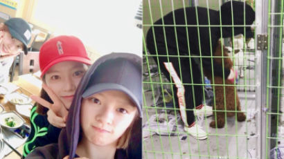 TWICE Members Take Care Of Abandoned Stray Dogs Just A Day Before Comeback