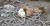 15일 경남 양산시 한 아파트에서 외벽 작업자 밧줄을 잘라 살해한 사건 현장에 놓여 있는 피해자 밧줄과 죽음을 애도한 하얀 국화. [양산=연합뉴스]