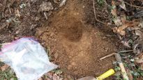 토양은 미생물 보물창고…정선 흙 0.1g에 세균 6317종