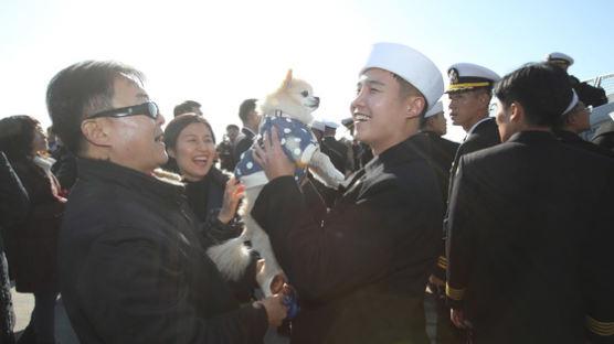 [서소문 사진관]98일 대장정을 마치다, 해군 순항훈련전단 입항 환영식