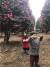 지난 18일 제주도 서귀포시 위미리 위미동백나무군락지를 찾은 어린이가 기념촬영을 하고 있다. 최충일 기자