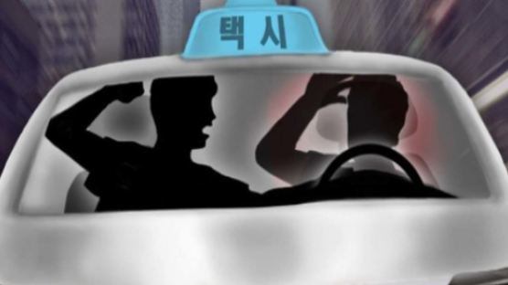 "중국놈이냐" 술에 취해 택시기사 폭행한 30대 징역 8개월 