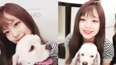 Why BLACKPINK's JENNIE Had to Send Her “Pet” Away for Adoption