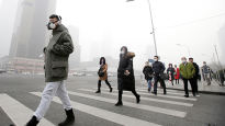 베이징 생쥐족, 뉴델리 대기오염 … 도시는 인류 난제 집합체