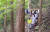 한국산림아카데미 산림최고경영자(CEO)과정 교육생들이 전남 장성 편백치유의 숲을 찾아 현장학습을 하고 있다. 프리랜서 김성태