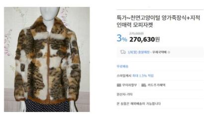 "천연 고양이 털로 만든 모피 재킷 팝니다" 글에 네티즌 항의 폭주