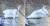 미국 동부를 강타한 살인 한파로 얼어버린 연못에 갇힌 백조 [YTN영상 캡처]