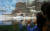 충남 서천군 국립생태원에서 관람객들이 &#39;젠투펭귄&#39;을 구경하고 있다. 프리랜서 김성태