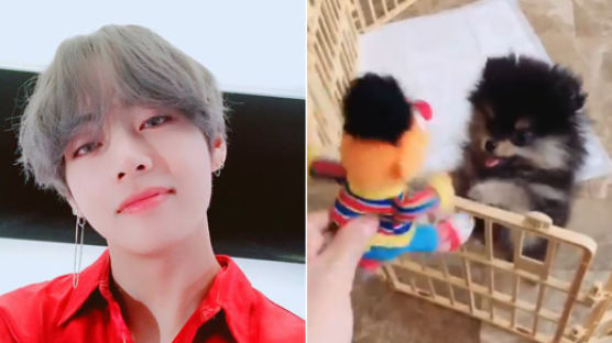 "The Most Beautiful Face of 2017" BTS V Shares Updates of His Puppy Yeontan