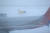 폭설이 쏟아진 11일 오전 제설차량이 제주국제공항 활주로에서 눈을 치우고 있다. [연합뉴스]