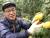 지난 9일 제주에서 13년간 레몬을 키워 온 오남종씨가 올해산 레몬을 수확하고 있다. 최충일 기자