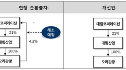 대림, '일감 몰아주기' 원천 차단…순환출자 고리 끊는다