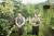 슬로우 파마씨의 정우성(왼쪽) 실장과 이구름 대표 부부. 식물을 보관하고 키우는 내곡동 화훼단지 안에서 포즈를 취했다. 오종택 기자 