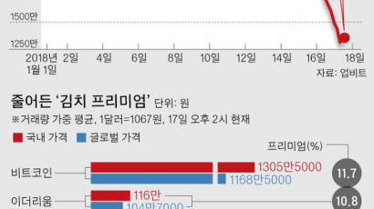 [단독] 정부 규제가 못 잡은 ‘김프’… 글로벌 시장이 잡을까