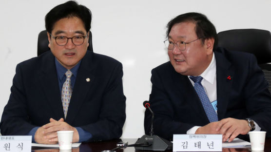 겨울올림픽이 '평양'에서?…민주당 김태년, 당정 회의서 '아차!'