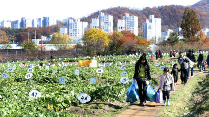 주말 서울근교에서 가족과 함께 친환경 농장 가꾸는 방법