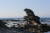 경북 포항 호미반도 해안둘레길을 걷다가 만나는 기암괴석.