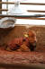 한파특보가 내려진 23일 오전 계룡시의 한 한우농장에서 송아지가 주인이 설치해준 난방등 아래서 잠을 청하고 있다. 프리랜서 김성태