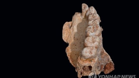 이스라엘서 18만년 된 턱뼈 발견…인류 아프리카 탈출 시점 밝혀지나