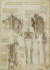 레오나르도 다빈치가 그린 인체해부도 중 갈비뼈와 다리뼈 부분. [중앙포토]