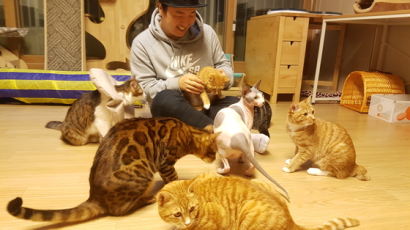 일본인이 길고양이와 주민 공생위해 1년 간 쓴 돈만 2000만원