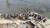지난 21일 충남 아산시 삽교천 방조제에서 집단폐사한 야생오리가 바위 위에 있다. [사진 국립환경과학원]