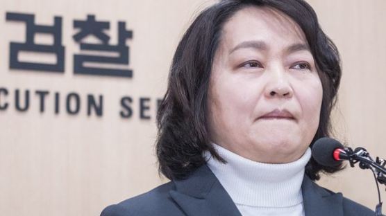 조희진 檢성추행 조사단장 "남녀갈등 비화 우려 있어…최선 다하겠다"
