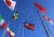 평창 선수촌 개촌식 직후 &#39;평화올림픽&#39;을 기원하며 하늘로 띄운 비둘기 모양의 풍선이 북한 인공기 너머로 날아가고 있다. [연합뉴스]