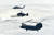 공군 항공구조사를 태운 탐색구조헬기(왼쪽부터 HH-60, HH-32, HH-47)가 충북 진천군 초평저수지에서 마련된 훈련현장으로 출동하고 있다. [사진 공군] 