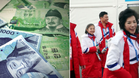 평창올림픽 개막 전, 북한에 2억5000만원 쓴 정부
