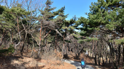 동장군 기세 꺾이면 걸어보자 2월 추천길 8