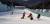 지난달 30일 얼음분수축제가 열리고 있는 충남 청양 정산면 천장리 알프스마을에서 방학을 맞은 아이들이 눈썰매를 타고 있다. 신진호 기자