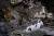 6일 밤 대만 동부 화롄현에서 규모 6.0의 강진이 발생해 화련시 시내 건물이 붕괴되는 등 피해가 발생했다. 이튿날 새벽 현지 구조대원들이 실종자 수색 작업을 펼치고 있다. [화롄 EPA=연합뉴스]
