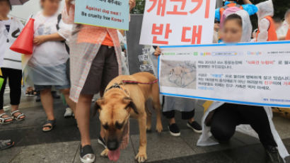 “한국 정부, 올림픽 기간 중 ‘개고기 판매’ 중단 요청”