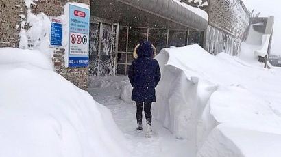 [사진] 제주도 폭설 … 오늘 낮엔 전국이 영상권