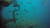 태국 해군이 쓰던 전투함 사타쿳을 구경하는 난파선 다이빙. 녹슨 배 주변에 많은 물고기가 살고 있었다.