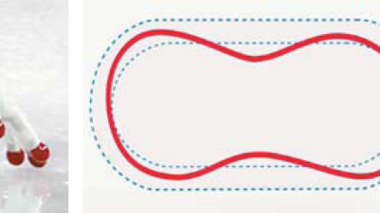 개구리장갑·호리병주법…독자기술로 만든 '쇼트트랙 코리아'