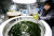 전남 해양수산과학원 동부지부 여수지원 윤지혜 연구사가 참담치의 먹이로 쓰려고 배양 중인 미세조류를 들어보이고 있다. 프리랜서 장정필