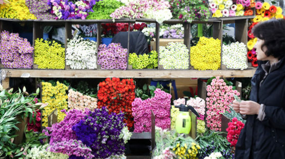 [사진] 얼음 녹는 우수 … 꽃집엔 이미 봄